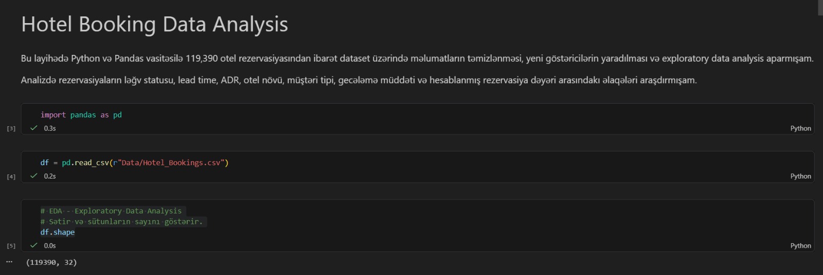 Hotel booking Python notebook preview